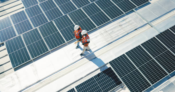 Best Roof Moss and Algae Removal  in Warrenton, OR