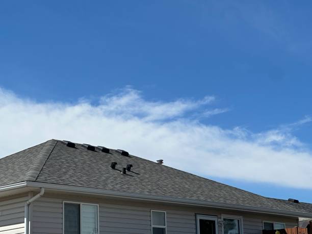 Best Solar Panel Roofing Installation  in Warrenton, OR